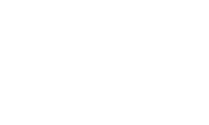 provisalogo